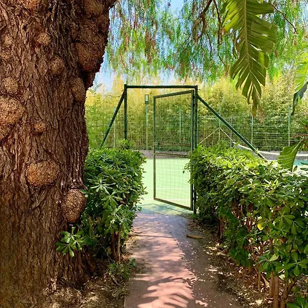 Griseo - Sicily Vista